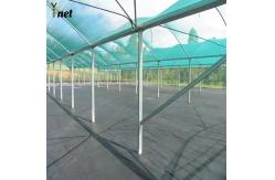 China Green Sun Shade Net HDPE Agribegri Shade Net Durable For Agricultural supplier