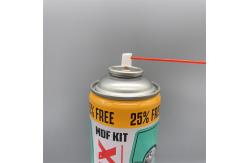 China Professional-Grade WD-40 Lubricant Valve for Maintenance Teams with Easy Operation supplier