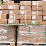 20 lb High Stiffness Waterproof Engineering CAD Bond Paper Rolls for sale