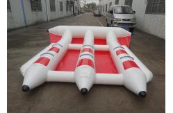 China Firproof Custom Inflatable Flying Fish Boat Water Surfing Board Water Equipmen supplier