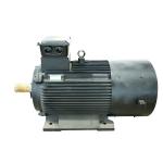 220v Alternative Energy Permanent Magnet Alternator For Hydropower for sale