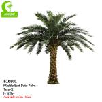 Supplier Height 500cm Artificial Date Palm Tree High Quality Outdoor Tropical Tree for sale