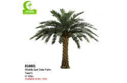 China Supplier Height 500cm Artificial Date Palm Tree High Quality Outdoor Tropical Tree supplier