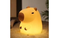 China Non-Toxic Platinum Silicone LED Night Light for Office and School supplier