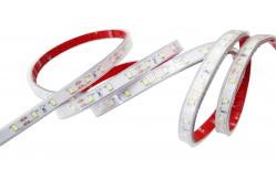 China Waterproof 24V Outdoor Led Strip Lights SMD2835 Transparent Led Strip supplier