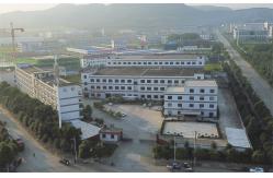 China Cat6A Ethernet Patch Cable manufacturer