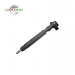 Common Rail Injector EMBR00002D A6510704987 for Meredes-Benz Engine