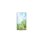 PD050SA-02C 5.0 inch 720*1280 LCD Screen FOR Mobile Phone for sale