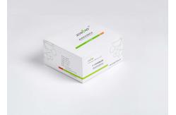 China 2-4000pg/ML Interleukin 6 Test Kit Immunofluorescence Chromatography supplier