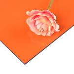 6mm PE Aluminum Composite Panel Construction Plastic Panel Light Fastness ≥6
