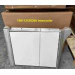 199112530269 Shacman Truck Parts Intercooler Assembly Shacman F3000 Truck Parts for sale