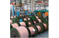 China 4 Conductor Armored Electrical Cable Downhole Well Logging Cable supplier