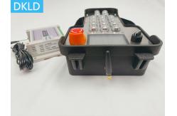 China Bidirectional Feedback Mode 16 Channel Explosion-Proof Remote Control supplier