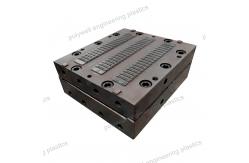 China Plastic Moulding Tool for Nylon Thermal Barrier Strip PA Extrusion Mold supplier