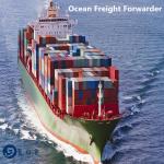 Shanghai To Long Beach USA Affordable DDP Sea Freight for sale