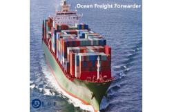 China Shanghai To Long Beach USA Affordable DDP Sea Freight supplier