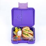 19*17*5cm Tritan Plastic Bento Lunch Box Leak-Proof and Eco-Friendly Material for sale