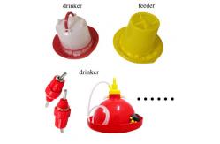 China Poultry Drinking Lines System 80pcs Chicken Feeders And Drinkers supplier