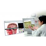 Hunter metatron machine 4025 SSCH NLS Health Diagnostic Metapathia 18D NLS for sale