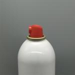 Empty Aerosol Fire Extinguisher Aluminum Can And Valve For Fire Suppression