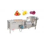 500kg/H Tomatoes Cabbage Air Bubble Washing Machine SUS 304 Stainless Steel Vegetable Washer for sale