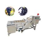 Spring Onion Washing Machine Tomatoes Ce for sale
