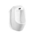 Eco Friendly Hygienic Toilet Urinal Commercial Reduce Water Consumption for sale