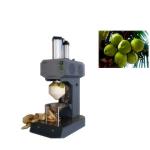 Multifunctional Fruit Vegetable Processing Machine Automatic Coconut Peeling Machine for sale