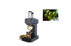 China Multifunctional Fruit Vegetable Processing Machine Automatic Coconut Peeling Machine supplier