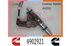 China Common Rail Diesel Fuel QSM11 ISM11 M11 Injector 4902921 4903472 4088384 supplier