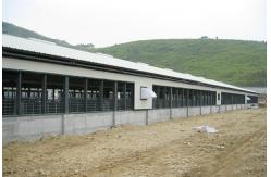 China XGZ Steel Structure Poultry House Customized Size And Layout supplier