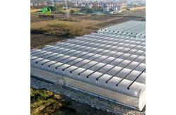 China PE Roof Greenhouse for Vegetable Tomato Cucumber Straberry Versatile and Customizable supplier