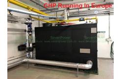 China Environment Friendly Silent 250KW 300KVA Natural Gas Generator supplier