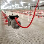 Farm Closed House Ground Plastic Slats For Poultry for sale