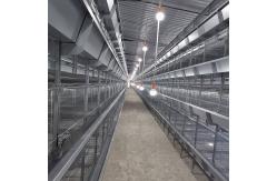 China Enriched 3-8 Tiers Baby Chick Cage For Day Old Layer Chicks supplier