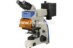 China Binocular Epi - Reflected Led Fluorescence Microscope Light Source A16.2701 supplier