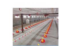 China Automatic feeding system for broilers supplier