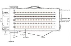 China Automatic Complete Broiler Pan Feeding System supplier