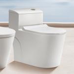 Bathroom Ceramic Siphonic Water Closet Floor Mounted Elongated 725mm for sale