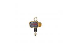 China Rechargeable Wireless 20t Electronic Hanging Scale supplier
