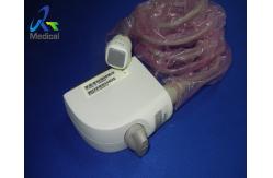 China Siemens Phased Array Nx3 X300 P4-2 Ultrasound Probe supplier