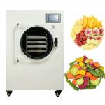 Small Mini Home Vacuum Freeze Dryer For Fruit And Vegertables Freeze Dryer for sale