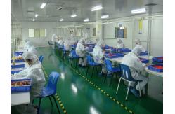 China Custom Vinyl Doll/Roto Casting/Vinyl Figure/ Vinyl Toy manufacturer