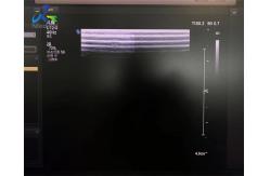 China  L12-3 Linear Array Transducer Probe Ultrasound Crystal And Cable Replacement supplier
