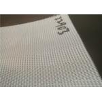 Blue White Polyester Conveyor Belt For Sludge Filter Press for sale