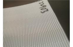 China Paper Making Press SGS Polyester Sludge Dewatering Belt supplier