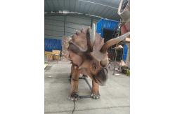 China Jurassic Park Animatronic Triceratops Model 5m supplier