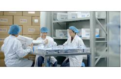 China Endoscopic Linear Cutting Stapler manufacturer