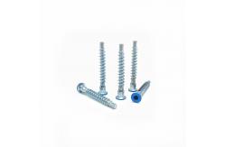 China Customized Hexagonal Socket Screw Self Tapping Countersunk Roller Coaster supplier