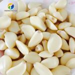 2.2KW Garlic Processing Machine Skin Removing Garlic Peeler